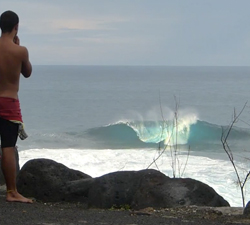 canaries surf