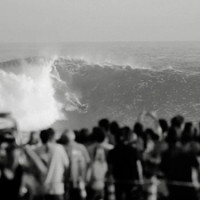 newport beach wedge