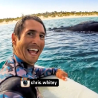 chris white bodyboarding