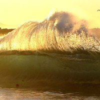 backwash