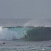 indo surf