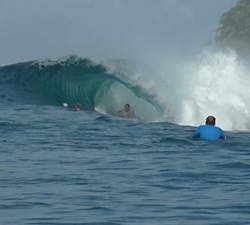 indo surf