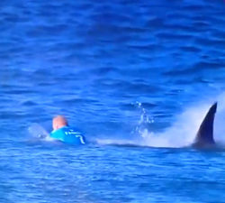 MICK FANNING shark attack