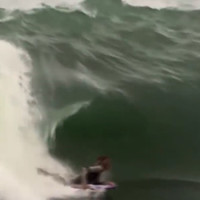 the rock brazil bodyboard